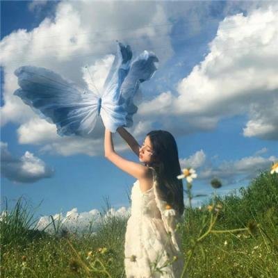 野兰花之恋